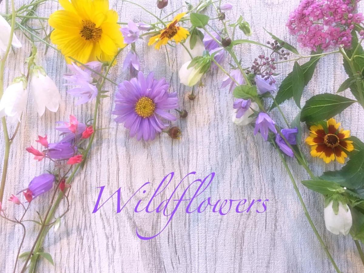 Pension Wildflowers Tateshina  Eksteriør bilde