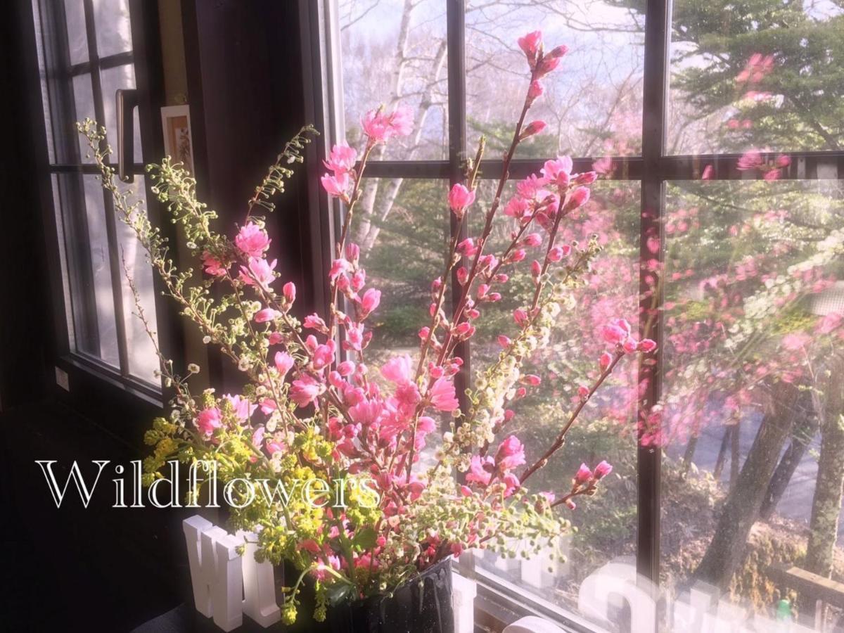 Pension Wildflowers Tateshina  Eksteriør bilde